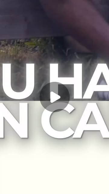 DNB Academy VSL Edit 01